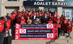 Van’da 223 İşçinin Direnişi 103’üncü Gününde: “İşimize Geri Döneceğiz”