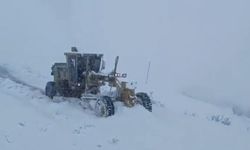 Hakkari’de 30 Yerleşim Yolu Ulaşıma Açıldı