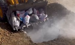 Hakkari'de Kuş Gribi Gerekçesiyle Canlı Hayvan Katliamı