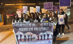 CANLI YAYIN... Hakkari'de KESK'ten 25 Kasım yürüyüşü ve etkinliği