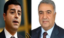 Eski AK Partili Vekil Rüstem Zeydan’dan Dikkat Çeken Demirtaş Çağrısı