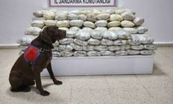 Başkale'de 60 kilo uyuşturucu ele geçirildi