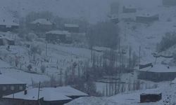 Hakkari’de Kar Yağışı 43 Yerleşim Yerinin Yolunu Kapattı