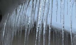 Yüksekova’da Dondurucu Soğuk Alarmı: Kar, Buz ve Sis Hayatı Felç Etti