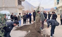 Sahadan Fidanlara: Derecik’te Sporcular ve Vatandaşlar Yeşil İçin Bir Araya Geldi