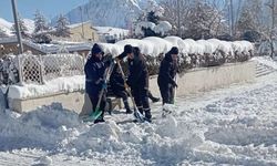 29 İş Makinesiyle Hakkari’de Karla Mücadele