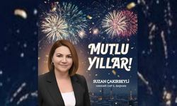 CHP Hakkari İl Başkanı Çakırbeyli’den Yeni Yıl Mesajı