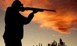 Hakkâri’de Yaban Keçisini Vuran Avcıya Ağır Ceza Kesildi