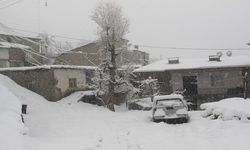 Hakkari Beyaza Büründü, Köy Yolları Ulaşıma Kapandı