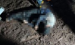 Hakkari'de 35 Yaşlarında Bir Erkek Donarak Hayatını Kaybetti