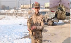 Hakkari’de Nesli Tehlike Altındaki Boynuzlu Baykuş Tedavi Altında