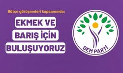 DEM Parti’den dört koldan Ankara yürüyüşü: “Ekmek ve barış için bütçe”