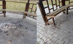 Yeşile Düşmanlık Sürüyor: Hakkari’de Parklar Hedefte