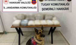 Hakkari’de Narkotik Ekiplerinden Başarılı Operasyon
