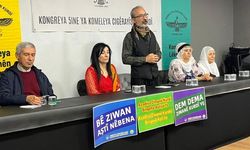 Kürtçeye Resmî Statü Vurgusu: “Dil Kimliğimizin Temsilidir”