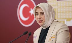 AKP’li Zengin’in kardeşi Tokat Üniversitesi Hastanesi başhekimi oldu iddiası