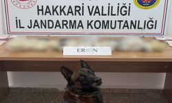Hakkari’de Jandarmadan Uyuşturucu Operasyonu: 2 Kişi Tutuklandı