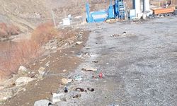 Depin’de Zap Suyu Kenarı Çöplüğe Döndü