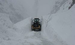 Hakkari–Şırnak Karayolu Çığlar Nedeniyle Ulaşıma Kapatıldı