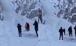 Çukurca Yolunda Korku Dolu Anlar: Çığ Düşme Anı Kamerada