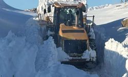 Hakkari’de 60 saatte: Yüzlerce Yerleşim Yolu Yeniden Açıldı