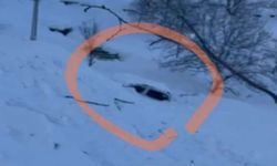 Şırnak'ta çığ düşmesi sonucu 1 kişi hayatını kaybetti