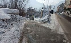 Dondurucu Soğuklar Hakkâri’de Alarm Verdi