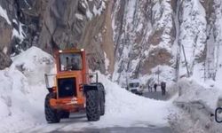 Hakkari tünel mevkiine düşen çığ temizlendi
