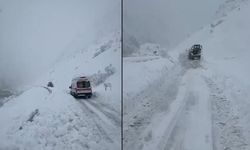 Hakkari'de Çığları Aşan Ekipler 7 Aylık Asya Nisa’ya Umut Oldu