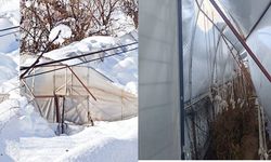Hakkari’de Yoğun Kar Yağışı Seraları Çökertti