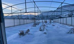 Hakkari'de Yoğun Kar Yağışı Seraları Çökertti: 38 Sera Zarar Gördü