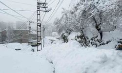 Yoğun Kar ve Çığa Rağmen Hakkari’de 310 Yol Yeniden Ulaşıma Açıldı