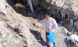 Doğaseverler Karla Mücadele Eden Keklikleri Unutmadı