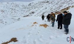 Yaban Hayvanları Unutulmadı: Yoğun Kar Yağışında Doğaya Yem Bırakıldı