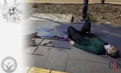 İran’da Protestolarda Ölü Sayısı 6 Bini Aştı