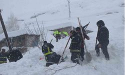 Çığ Faciası: Çığın Altında Kalan Kadın Sağ Kurtarıldı