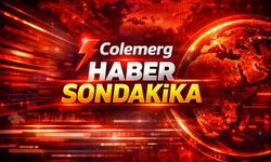 Hakkâri’de Psikoloğu Bıçaklayan Şüpheli Tutuklandı