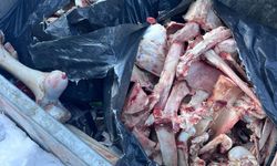 Hakkari’de Mahalle Sakinlerini Şaşkına Çeviren Dev Kemikler