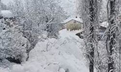 Hakkari’de Çığ Evlerin Dibine Kadar İndi, Facia Ucuz Atlatıldı