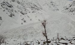 Hakkari’de çığ düştü 150 keçi telef oldu