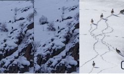 Şükrü Tertemiz Karda Kışta Keklikleri Yalnız Bırakmıyor