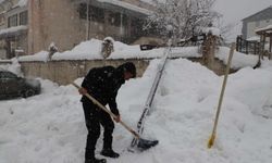 Hakkari’de Yoğun Kar Yağışı Aydınlatma Direğini Devirdi