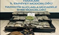 Hakkâri’de Narkotik Operasyonu: 30 Kilo Skunk Ele Geçirildi