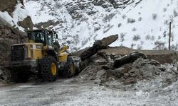 Hakkari–Çukurca Karayolunda Kaya Düşmesi: Yol Yeniden Ulaşıma Açıldı
