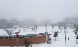 Hakkari’de Sis ve Karla Karışık Yağmur Ulaşımı Zorlaştırıyor: Sürücülere Çığ Uyarısı