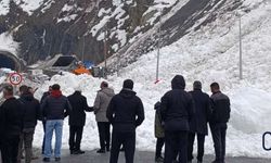 Hakkari–Van Yolunda Çığ Alarmı: Ulaşım Kısa Süreliğine Durdu