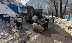 Köye Düşen Dev Kayalar Dronla Görüntülendi