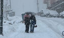 Hakkâri’de 20 köy, 38 mezra yolu ulaşıma kapandı