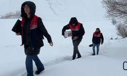 Yüksekovalı Öğrencilerden Örnek Davranış: Artan Yemekler Yaban Hayata Umut Oldu