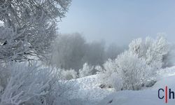 Gece Eksiye Düştü, Sabah Manzara Ortaya Çıktı: Hakkari'de Görsel Şölen